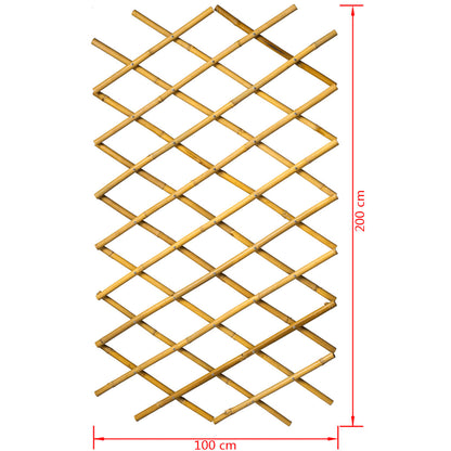 Nature Palissade de jardin 100 x 200 cm bambou