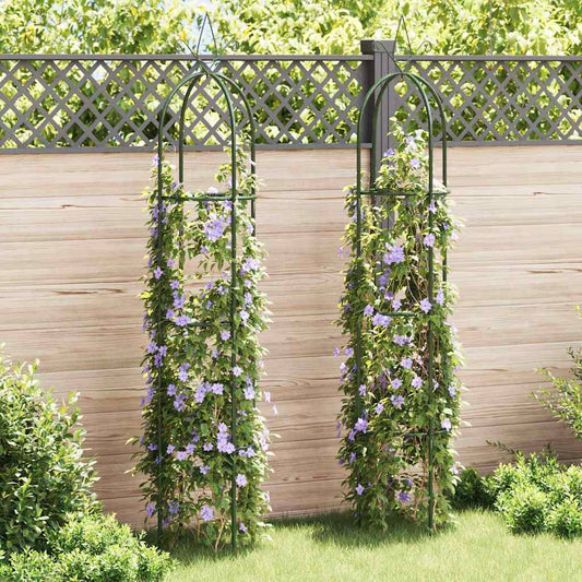 Arche de jardin en forme de tour 2 pcs